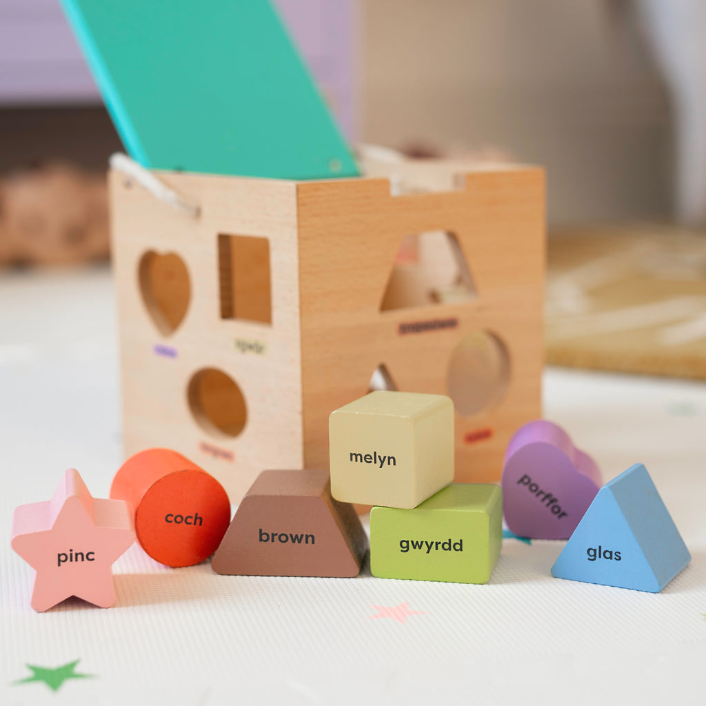 Mwnci Welsh Shape Sorter, sustainable wooden educational toy, made in Wales