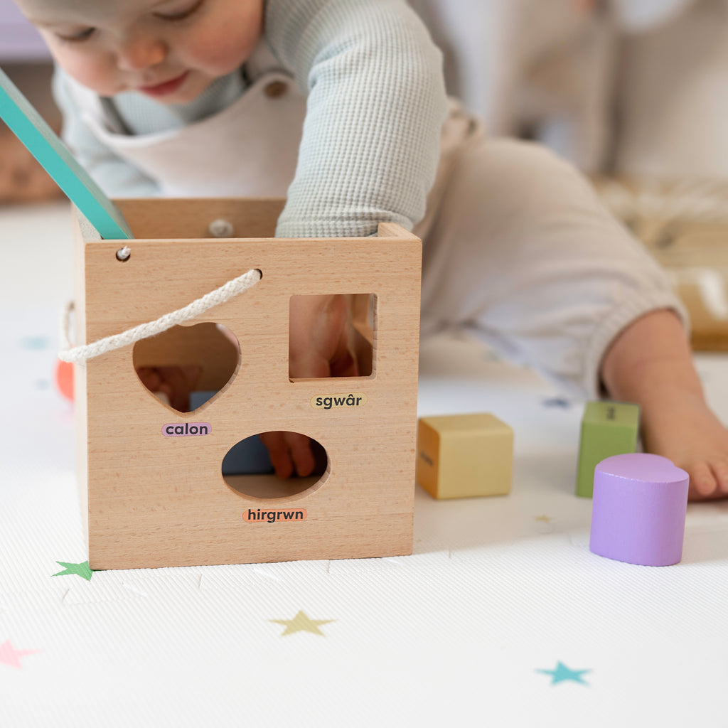 Mwnci Welsh Shape Sorter, sustainable wooden educational toy, made in Wales